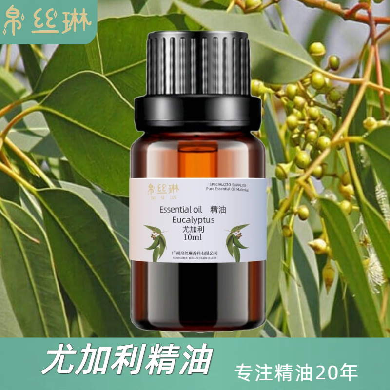 供应天然植物提取尤加利精油香氛香薰酒店按摩SPA美容院原料批发