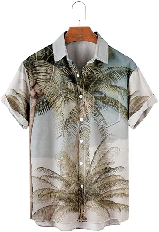 Estación independiente transfronteriza verano nueva camisa impresa digital para hombres tendencia de moda top hawaiano de solapa de manga corta