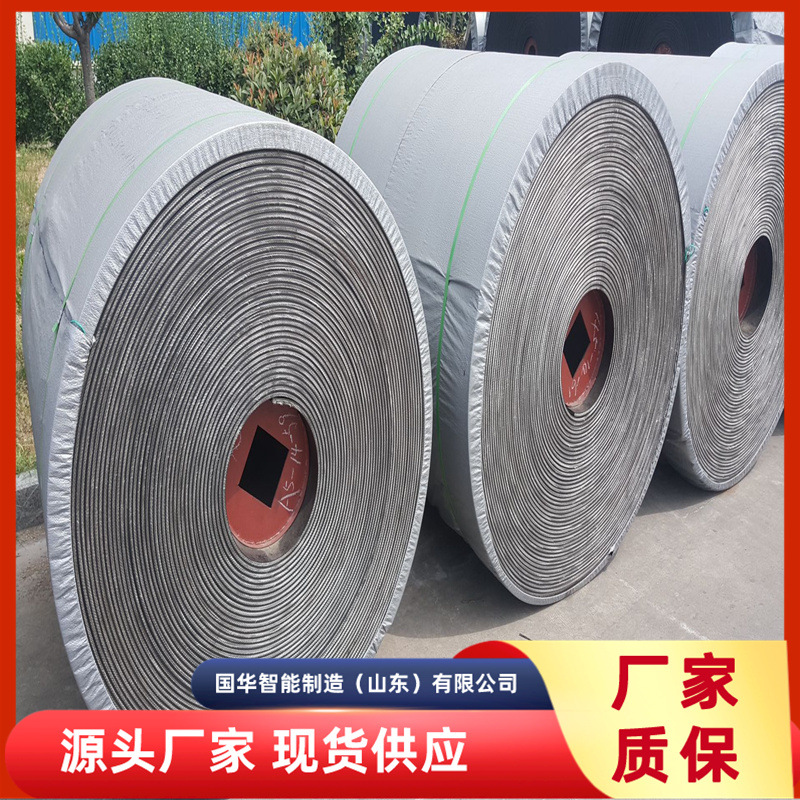 送货上门矿用PVC输送带  规格齐全EP400型矿用整芯阻燃输送带