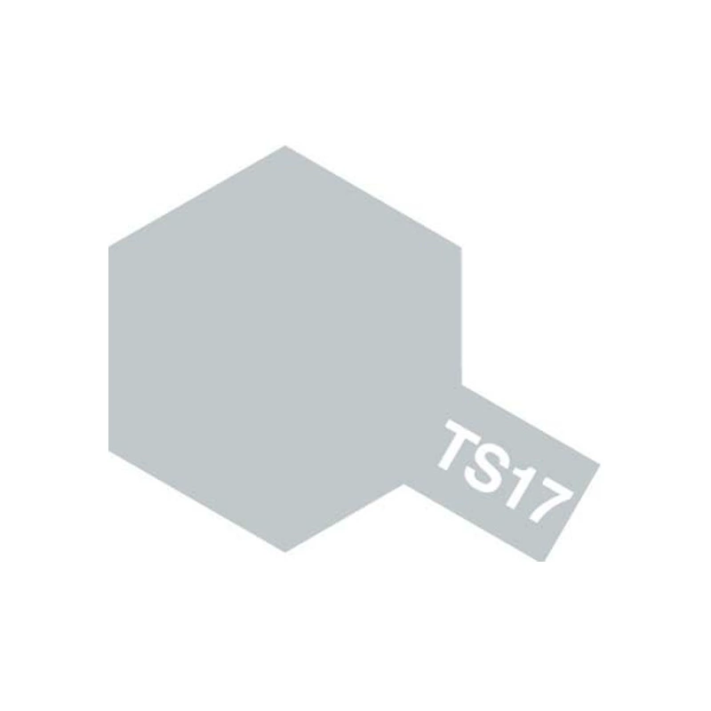 TAMIYA model special TS spray can/hand spray paint (100ml) TS1~TS56