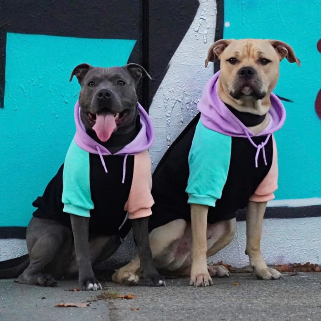 Cross-Border Autumn and Winter Hot-Selling Pet Dog Clothing Pocket Four-Color Color Matching Sweatshirt Pet Dog Parent-Child Sweatshirt