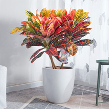 ߲׃~ľ^~ֲ͟ļ҃ȿ͏d՚׃ɫľGֲ