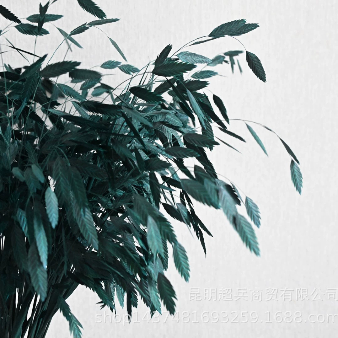 Сохранённые вечные цветочные стебли Xiao Pianwang Cao, цветочная сушёная букетная композиция, 10 шт, 30–60 см