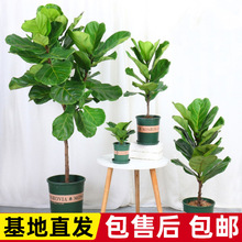 ���~���҃ȴ������ԃ����՚����~���^�~�G�辰�ļ����໨�����~��