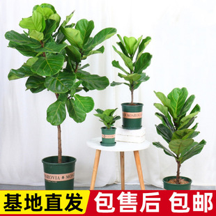 ���~���҃ȴ������ԃ����՚����~���^�~�G�辰�ļ����໨�����~��