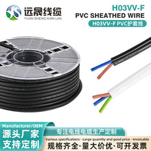 �h�ɾ��|H03VVH2-F2*0.75ƽ��2о*0.5PVC�^���� �Ӽ��b�޲�늾�