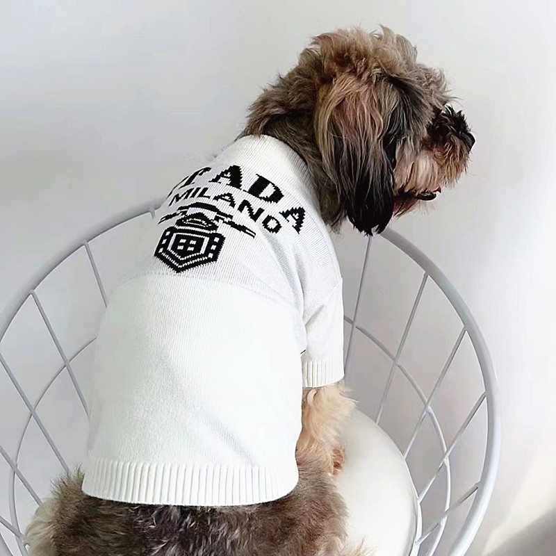 Factory trendy fashion pet clothes for dogs and cats