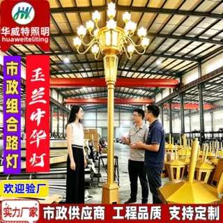 定制中华灯市政道路工程组合灯广场景区大型高杆6-15米玉兰景观灯