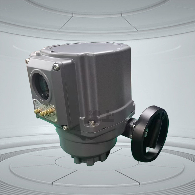 高性能总线型变频智能电动执行器 伯纳德 CA-Q2/20 津上