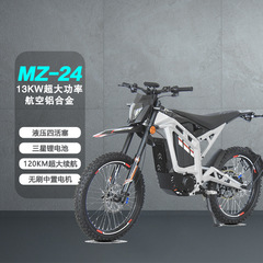 越野电动摩托车 全地行车13KW超大功率越野车全地形沙滩车 雪地车