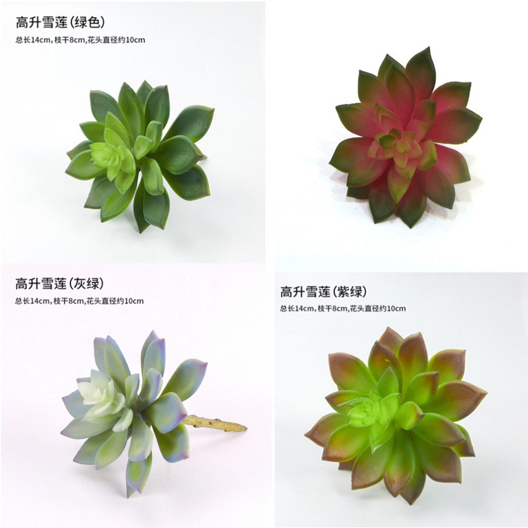 Simulation of succulent small plants Gao Liangxue Lotus Plastic…