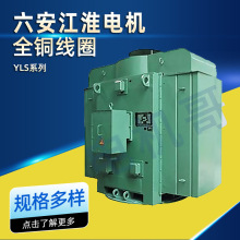 �����������YLSϵ�и�ѹ�����첽���ȫͭ��Ȧ55kw75kw����ֱ��