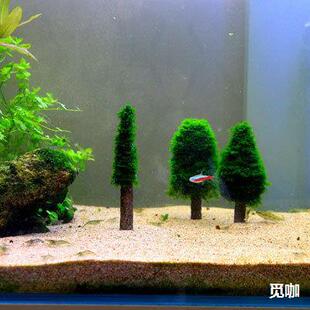 Īz}Qˮ쾰ĪzNľɺĪzrײݸ