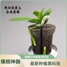 透气栽培基质专用土绿植进口泥炭土合成碳棉高效换盆养兰科石斛