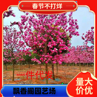 һ�����l�ļ�ͥԺ���m����t���m�ϱ��������m�����������m�ͺ��G