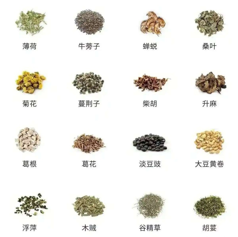Shan Zha Dried Hawthorn Fruit (Crataegus pinnatifida) — Food-Herb for Tea & Soup, 500g in use