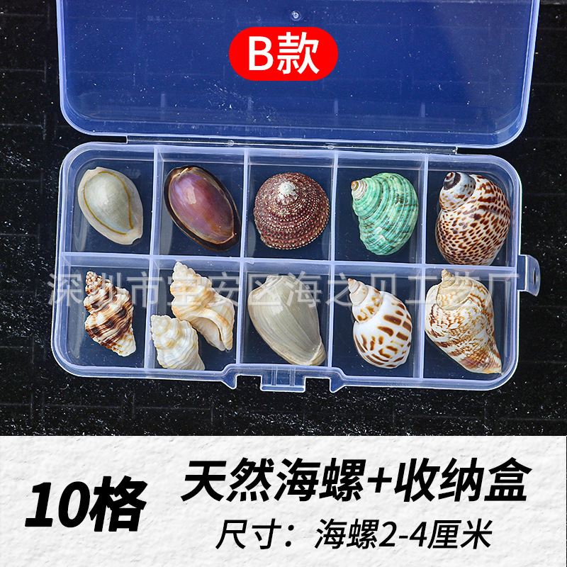 B款10格套餐.jpg