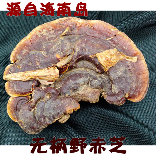 Anhui Dabie Mountain farmers collect wild-growing non-cultivated red reishi and red reishi slices, branches, 250g