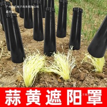 �S��ֱ�N���S����־��S�Nֲ���÷NֲͲ�̨�N�˼�ͥ�����S��