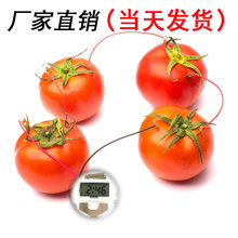 DIY自制水果电池发电实验 锌铜片土豆科技小制作发明仪器物理材料