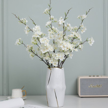 ����2���ձ�����ѻ� �ҾӲ͏d�b�Ʒ��c���ÔzӰ�����һ�֦�ٻ�