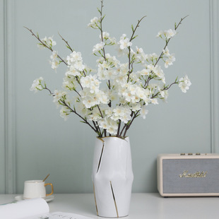 ����2���ձ�����ѻ� �ҾӲ͏d�b�Ʒ��c���ÔzӰ�����һ�֦�ٻ�