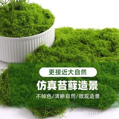 メーカー模擬苔、細断苔、緑植物、マイクロ風景、岩盤、芝生、鉢植え、盆栽舗装、装飾DIY装飾品