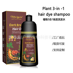 外国貿易の黒い染毛剤のシャンプーの色の植物の泡は流行の色を染めて白髪の1本の黒い染毛剤をかぶせます。