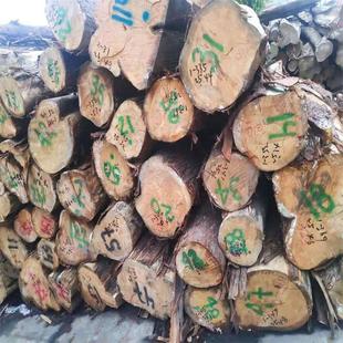 �S�����l��ľԭľ ����ľ �S�İ� ���ľ ��ľ�Ҿ��� �۲���