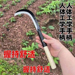 �¿��i����~砵��i�砵�����ؿ��r���ո����׽ն����⿳֦砵�