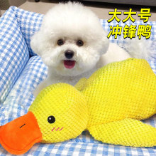 �������ë�q�l��Ȯ����̩�Ͽ»���ҧ���˽␞��̖��˯������