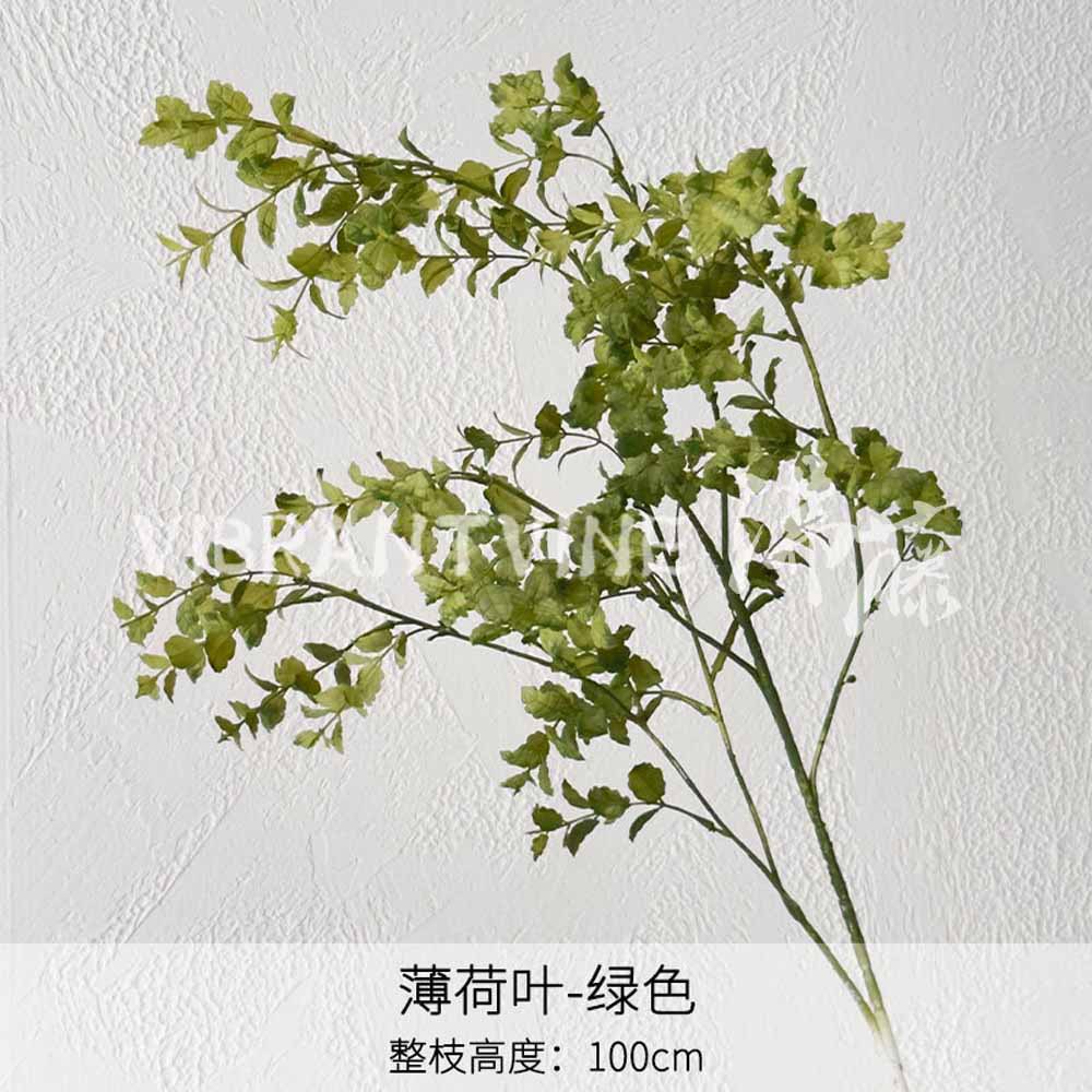 녹색 민트 잎
