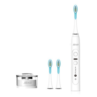 Seago/Saijia Cross-Border Source Manufacturer Wholesale Customized Oem Automatic Adult Sonic Electric Toothbrush Sg-982