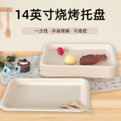 使い捨てバーベキュー皿14インチ長方形トレイ厚いピクニックトレイサトウキビパルプ分解可能環境保護