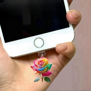 �ɐ۲�ɫõ�廨���������m�����m���iPhone/Type-C��׿�B