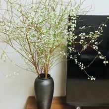 ѩ���r֦��֦����ˮ�B�廨ˮ�໨���҃Ȼ��ܺ��B��Gֲ��ˮ�_��