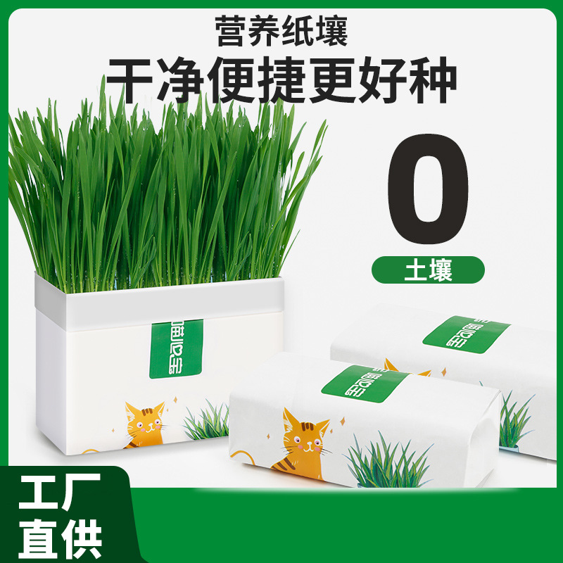 Hierba para gatos Juego de plantación de semillas de hierba para gatos hidropónica Crema para eliminar la piel para gatos Bolas para eliminar semillas de hierba para gatos Aperitivos para gatos Menta para gatos