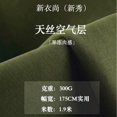 莱赛尔空气层 300g天丝空气层面料 潮牌套装卫衣运动服面料