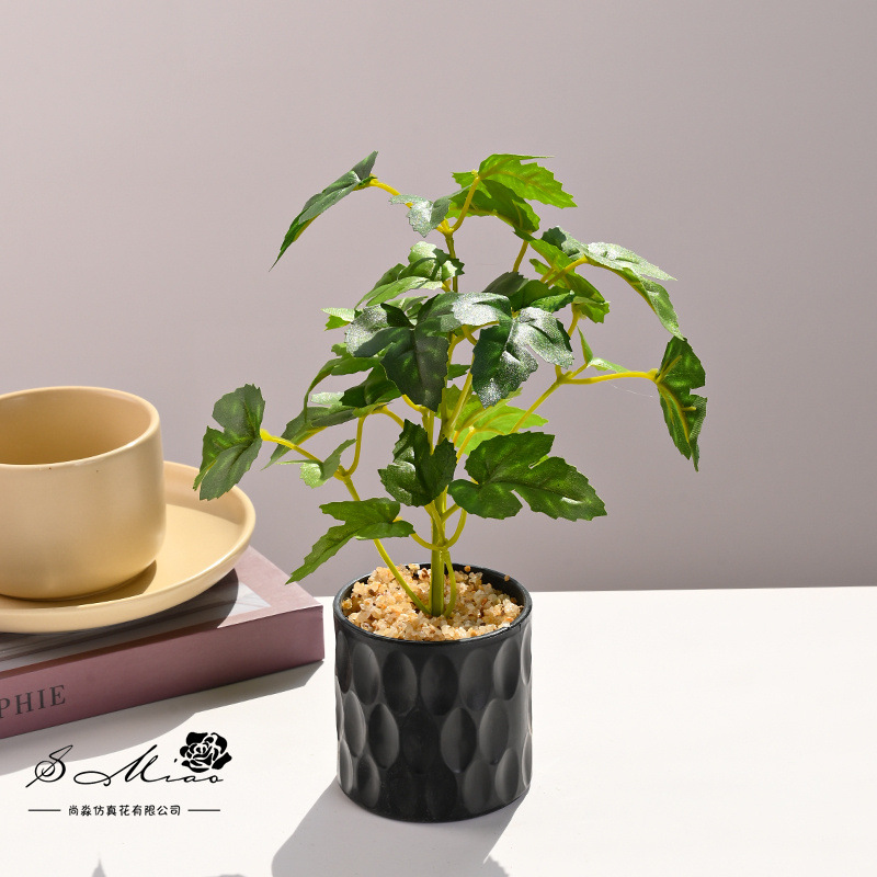 Simulación de plantas verdes, pequeñas plantas en macetas, flores artificiales, flores creativas, decoración de estudio fotográfico para el hogar, plantas verdes artificiales, bonsai de simulación image 4