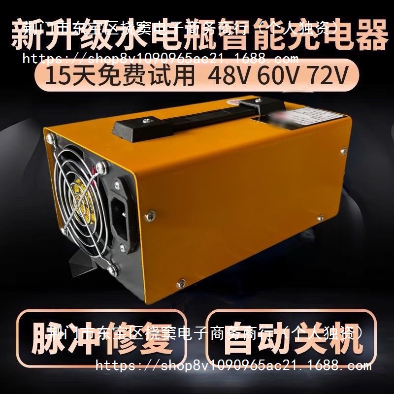 电动三轮车水电瓶充电器48v60v120ah72V自动关机只能充电器其它