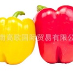 厂家常年供应速冻黄椒丝frozen  yellow pepper欢迎选购