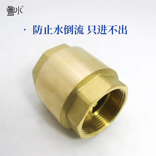 Brass vertical check valve thickened tap water pipe check valve one-way valve spring-type valve 4 minutes 6 minutes 1 inch