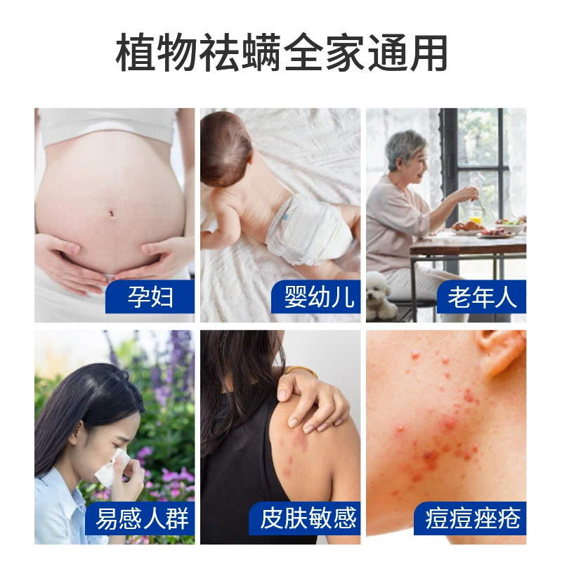Yunnan Materia Medica Herbal Mite Mittics Babes Family Infant Federation Mites Ferry Botanical Plant Vehicle Home Furniture Treasure Treasure