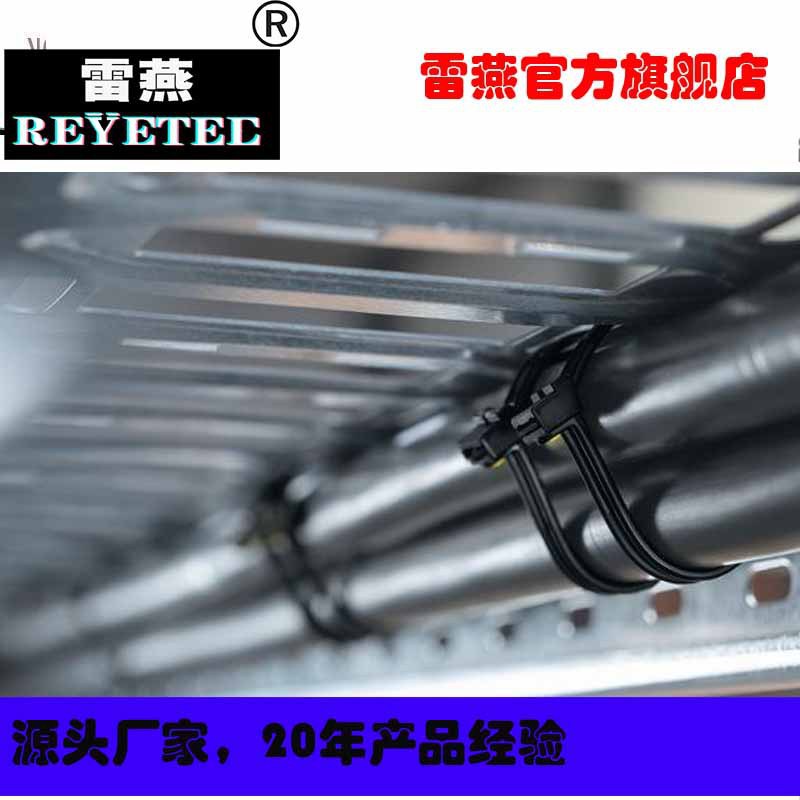 REYETEC电缆扎带由玻璃纤维针锁定121-83378 | KR8/33-PA46-GY
