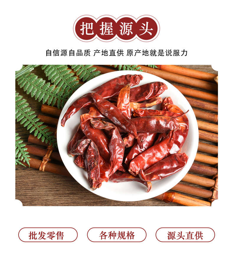 Chili Pepper (Capsicum annuum) — Dried Hot Chili Segments, Flakes & Powder for Culinary Use key features