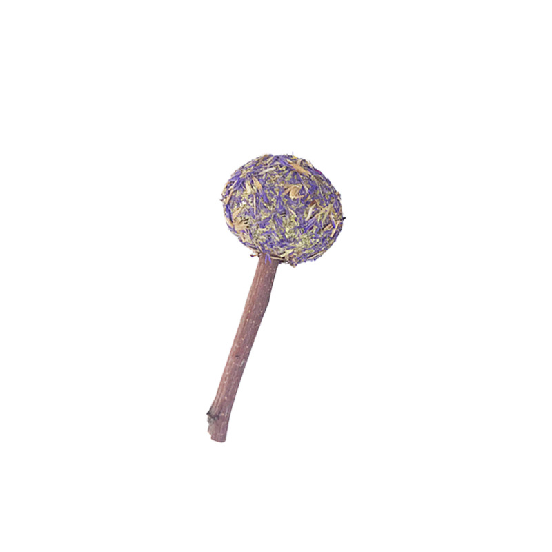 Conejo molar piruletas, flores naturales, ramas de manzana, loto, chinchilla, hámster, conejillo de indias, bolas de hierba, productos para mascotas