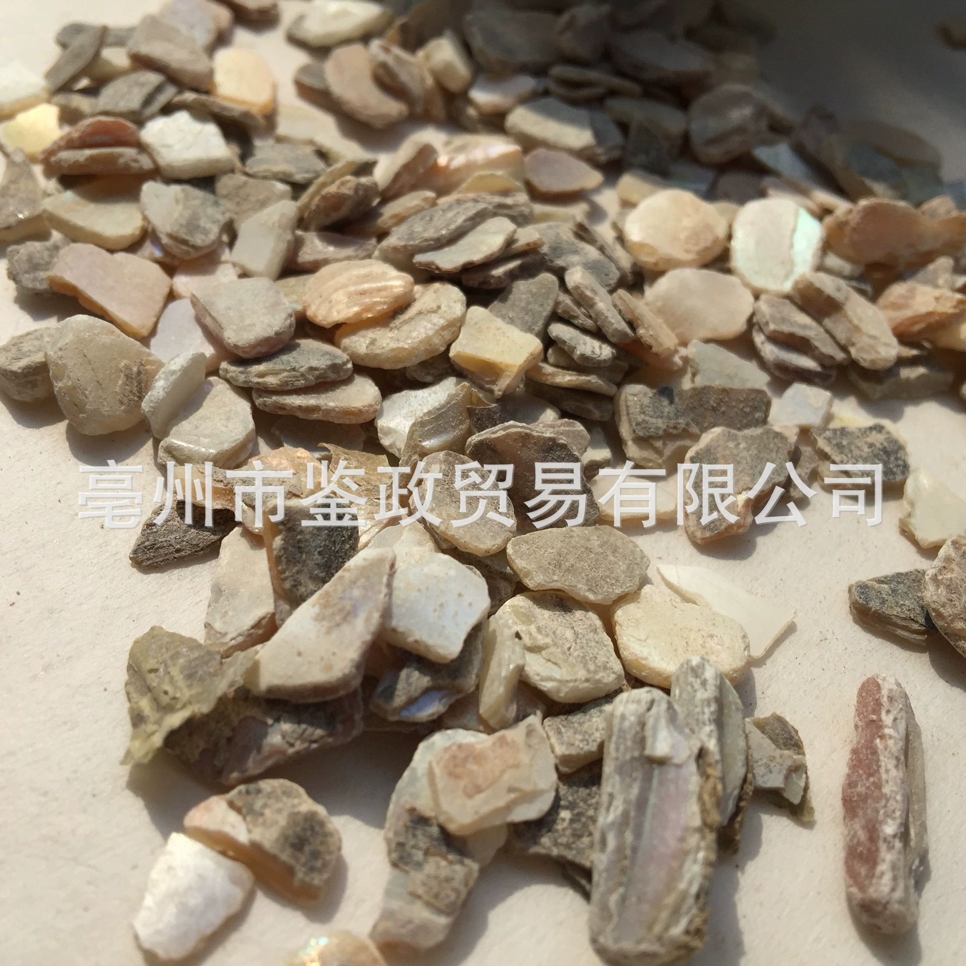 Zhen Zhu Mu Mother of Pearl Powder Raw Herb 500g Dried Concha Margaritifera for Traditional Decoctions quality and texture
