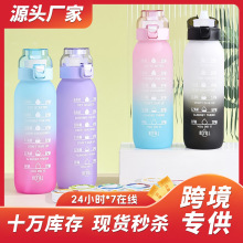 airup香味杯亚马逊tritan材质玩果味创意水杯吸管杯源头工厂跨境