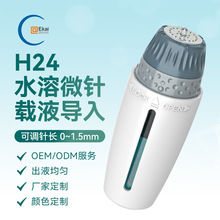 按压式可调节出液钛合金微针 H24 针导入仪水光印章针水溶针跨境