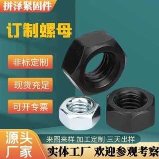 厂家定做异型螺母非标特殊螺母螺帽来图来样订制高强镀锌螺栓螺母